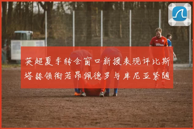 英超夏季转会窗口新援表现评比斯塔赫领衔若昂佩德罗与库尼亚紧随其后
