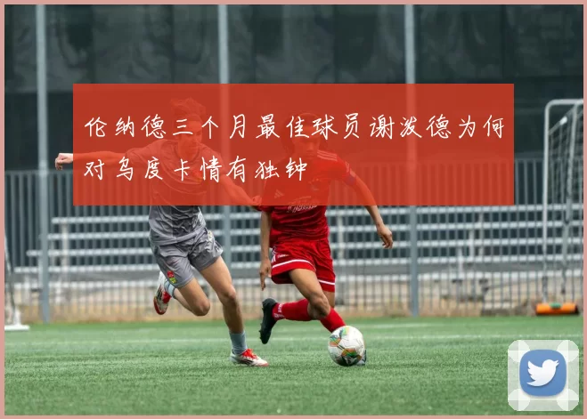 伦纳德三个月最佳球员谢泼德为何对乌度卡情有独钟